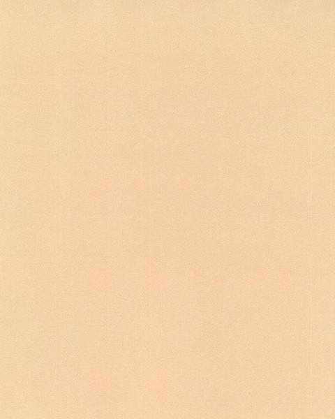 Hattan Palette | 41 Rusk